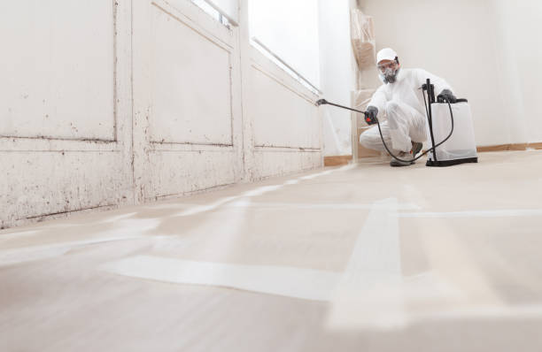 24/7 Emergency Mold Removal experts in Winthrop, MA